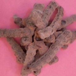 Fruit de l'acacia nilotica ou Nep Nep