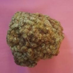 Nonrônah (Coller Serrer)