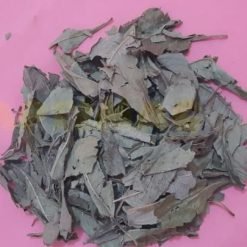 kinkéliba (Combretum micranthum) Ou "Tisane de longue vie"