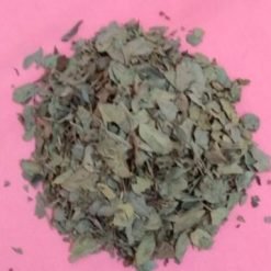 Séné ou Bali Bali (Cassia Angustifolia)