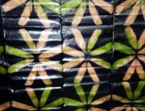 PAGNES ET HABITS BAZIN