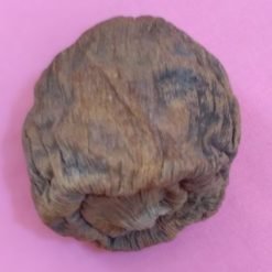 Piment de Guinée ou poivre d'alligator