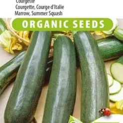 Courgette, Courge d’Italie Black Beauty EKO