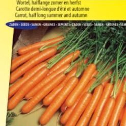 Carotte Nantaise 2 Topfix