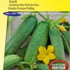 Cornichon Vert Petit de Paris