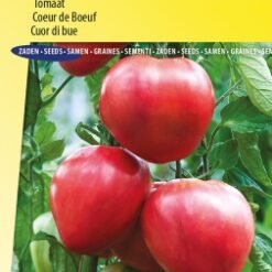 Tomate Coeur de Boeuf Oxheart