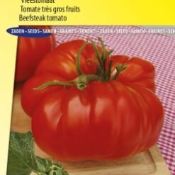 Tomate très gros fruits Brutus