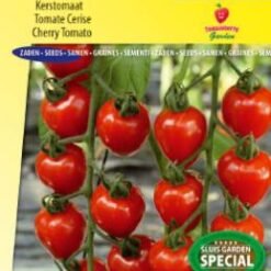 Tomate cerise Gardenberry F1