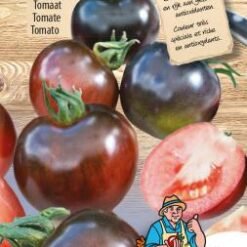 Tomate Indigo Rose