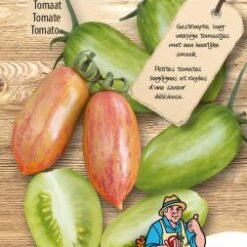 Tomate Artisan Green & Pink Tiger