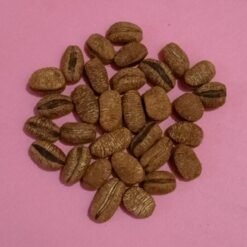 Arachide des Anango ou arachide sauvage