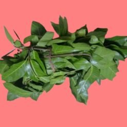 Feuilles de "zaban" ou liane (Saba senegalensis)