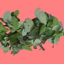 Feuilles de Tamba koumba (detarium)