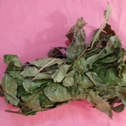 Feuille de cailcédrat (Khaya senegalensis)