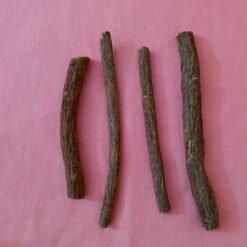 Alternative view of Cure-dent sucré (Carpolobia lutea)