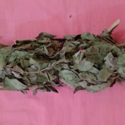 Nkoundjè (Guiera senegalensis)