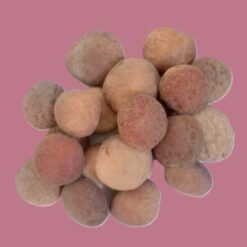 Fruit du detarium microcarpum (Tamba koumba)