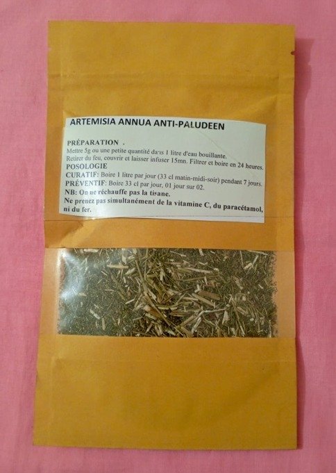 Artémisia annua anti paludéen CGB