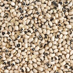 Le haricot Africain ou niébé (Vigna unguiculata)