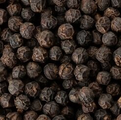 Poivre noir (Piper nigrum)