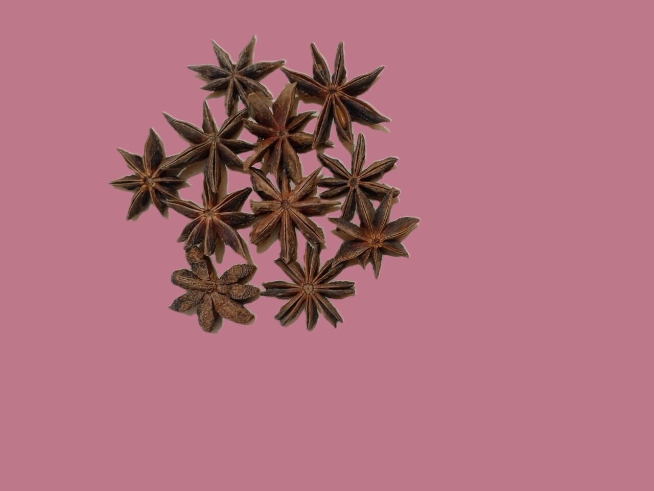Anis étoilé ou badiane