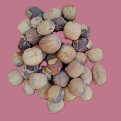 Fruit du balanitès (Balanites aegyptiaca) ou dattier du désert