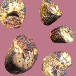 Alternative view of Poisson fumé séché (mulet)