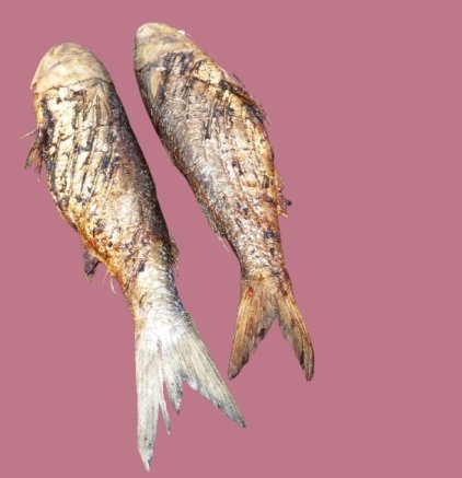 Poisson fumé séché (mulet)