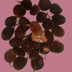 Rachmoine ou tamarin velours