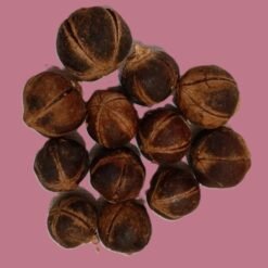 Goron tula (Azanza garckeana)